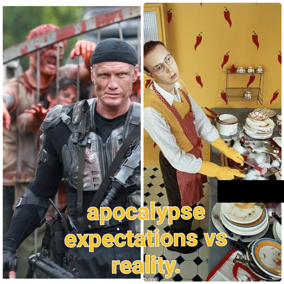 album cover - apocalypse expectations vs reality.