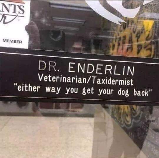 dr enderlin veterinary taxidermist - Nts Member Dr. Enderlin VeterinarianTaxidermist either way you get your dog back"