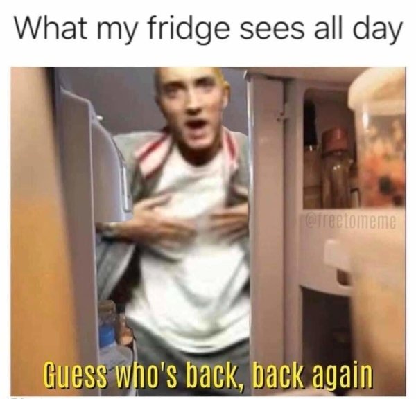 fridge and quarantine meme - What my fridge sees all day Guess who's back, back again