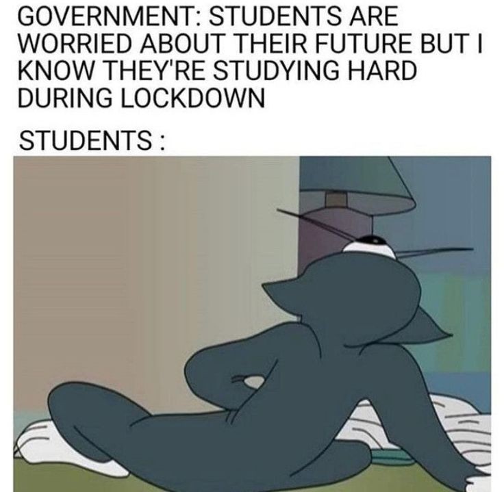 Internet meme - Government Students Are Worried About Their Future But I Know They'Re Studying Hard During Lockdown Students