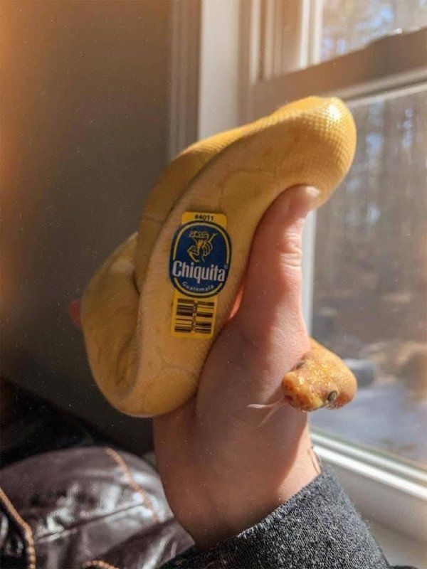 banana snek