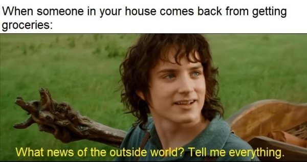 frodo - When someone in your house comes back from getting groceries What news of the outside world? Tell me everything.