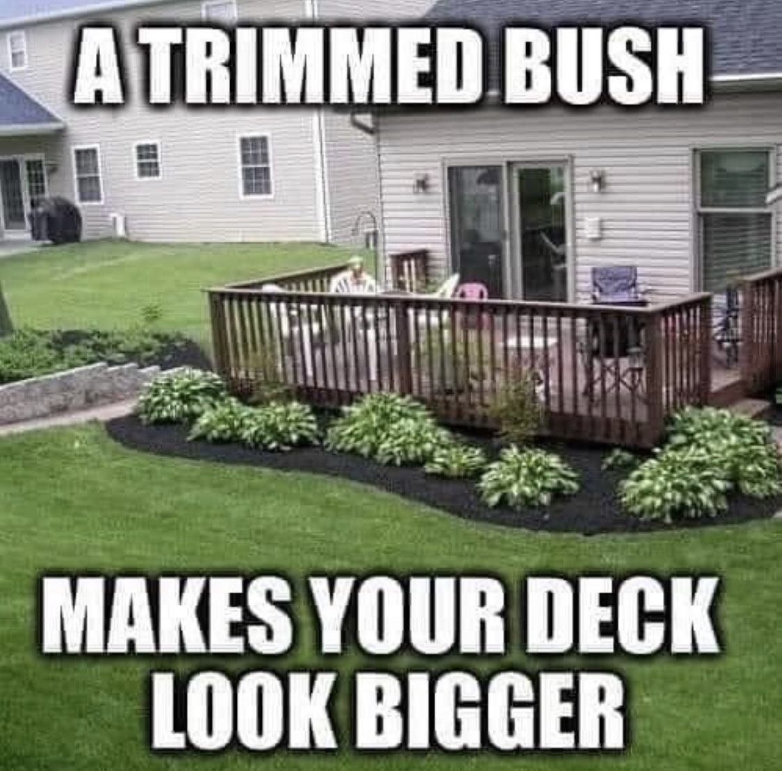 best plants around deck - Atrimmed Bush Ua Makes Your Deck Look Bigger