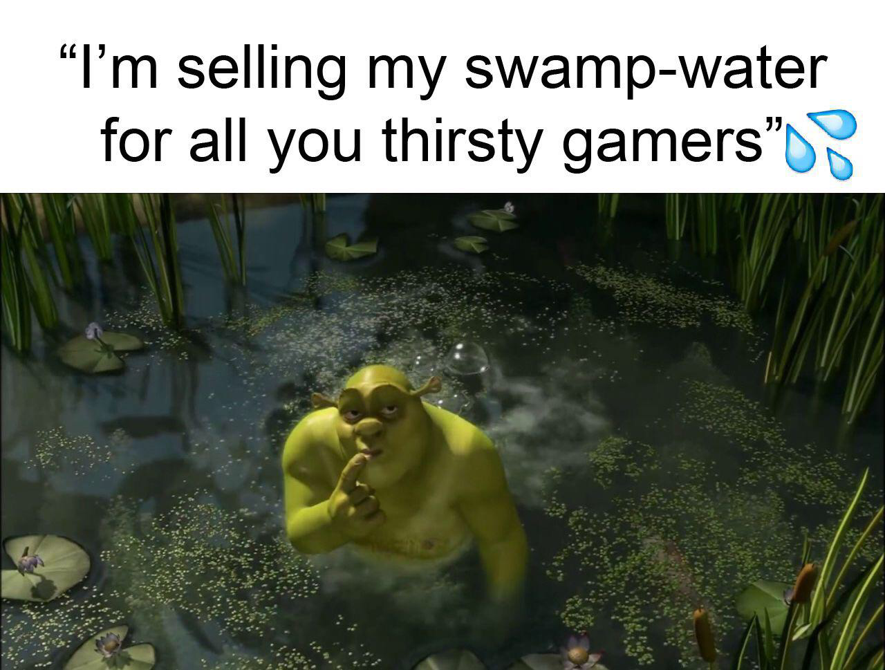 im selling my swamp water - "I'm selling my swampwater for all you thirsty gamers ?