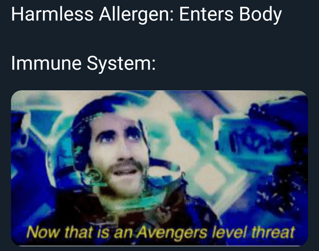 now thats an avengers level threat - Harmless Allergen Enters Body Immune System Now that is an Avengers level threat