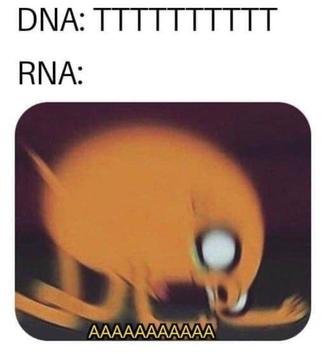 dank biology memes - Dna Tttttttttt Rna Aaaaaaaaaaa