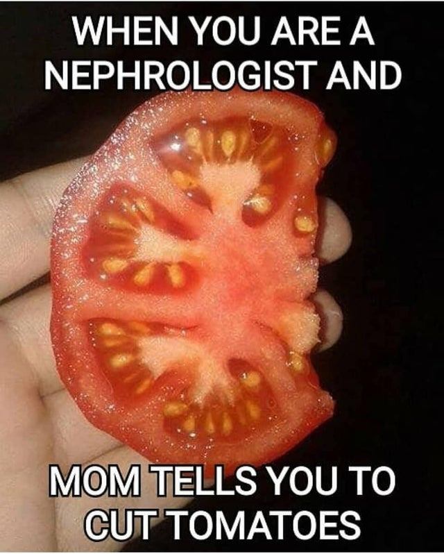 tomato nephrologist - When You Are A Nephrologist And Mom Tells You To Cut Tomatoes