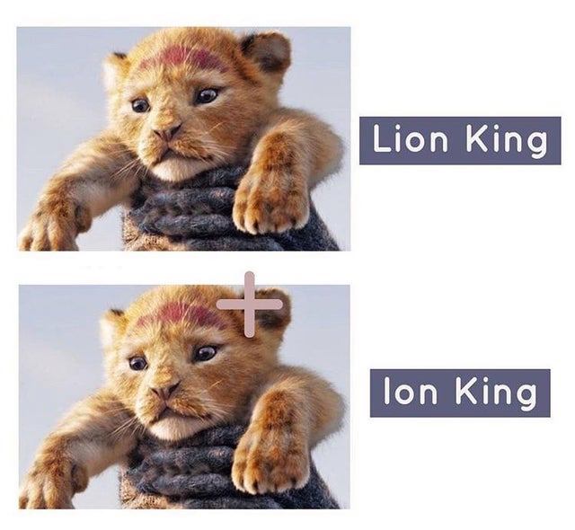 lion - Lion King lon King