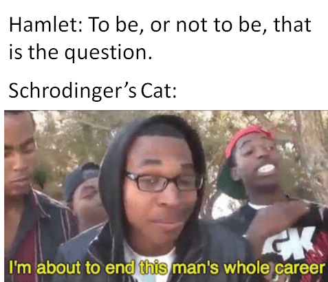 hobo johnson memes - Hamlet To be, or not to be, that is the question. Schrodinger's Cat Gk I'm about to end this man's whole career
