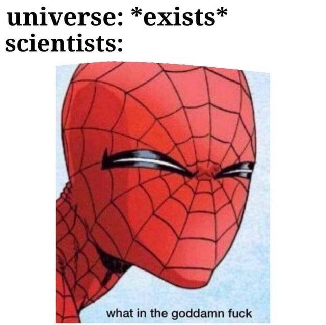 spider man squinting meme - universe exists scientists what in the goddamn fuck