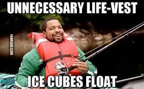 ice cube meme - Unnecessary LifeVest Humoar.Com Ice Cubes Float