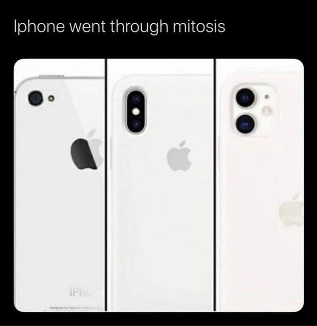 iphone mitosis meme - Iphone went through mitosis iPh