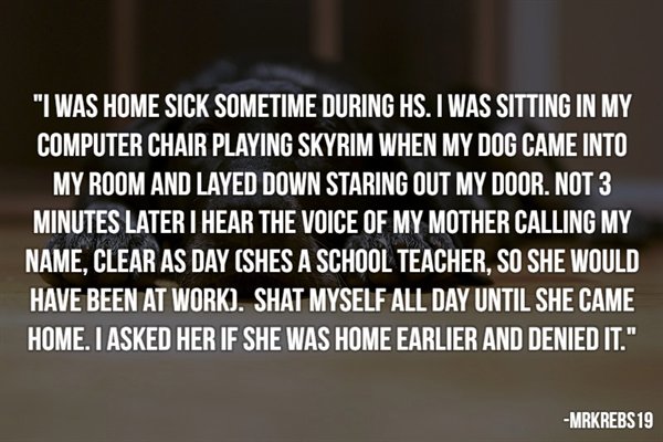 angle - "I Was Home Sick Sometime During Hs. I Was Sitting In My Computer Chair Playing Skyrim When My Dog Came Into My Room And Layed Down Staring Out My Door. Not 3 Minutes Later I Hear The Voice Of My Mother Calling My Name, Clear As Day Shes A School 