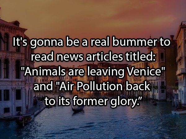 N It's gonna be a real bummer to read news articles titled "Animals are leaving Venice" and "Air Pollution back to its former glory."