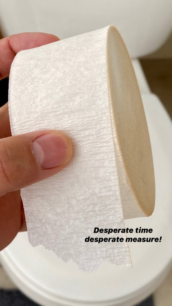 papier mache looks like toilet paper - Desperate time desperate measure!