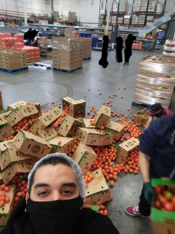 supermarket fail boxes of tomatoes spilled on the ground