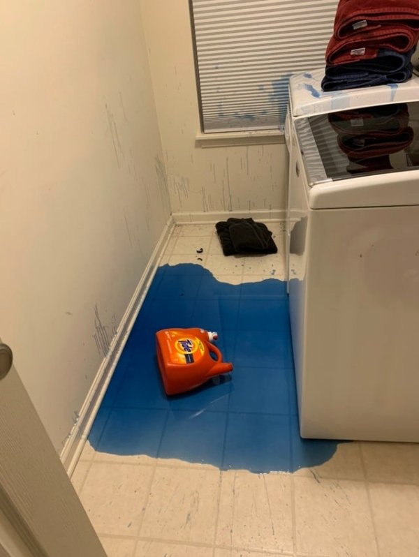 entire bottle of laundry detergent spilled on the ground