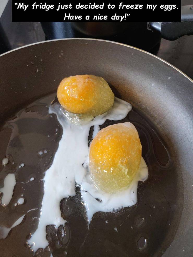 frozen egg yolks - "My fridge just decided to freeze my eggs. Have a nice day!"