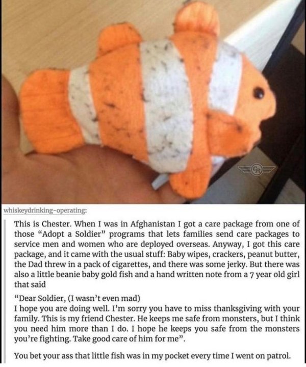 chester the beanie baby fish - whiskeydrinkingoperating This is Chester. When I was in Afghanistan I got a care package from one of those "Adopt a Soldier" programs that lets families send care packages to service men and women who are deployed overseas. 