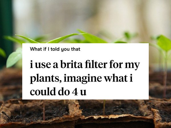 soil - What if I told you that i use a brita filter for my plants, imagine what i could do 4 u