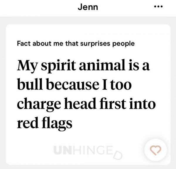 angle - Jenn Fact about me that surprises people My spirit animal is a bull because I too charge head first into red flags Unhinges