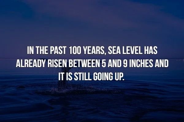 daily beast - In The Past 100 Years, Sea Level Has Already Risen Between 5 And 9 Inches And It Is Still Going Up.