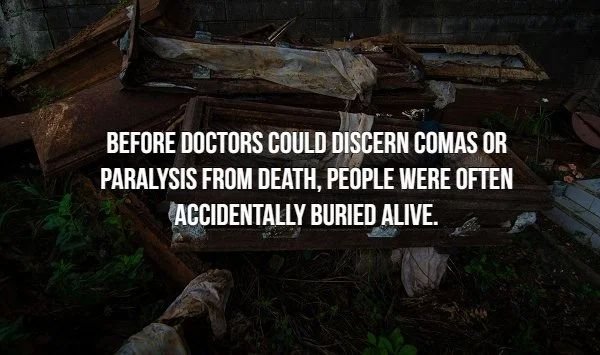 Before Doctors Could Discern Comas Or Paralysis From Death, People Were Often Accidentally Buried Alive.