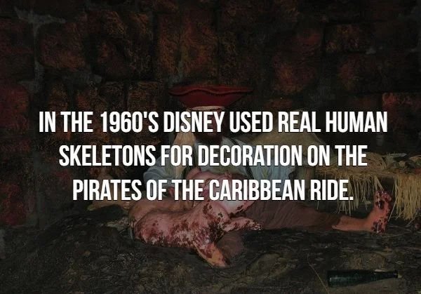 oldham county - In The 1960'S Disney Used Real Human Skeletons For Decoration On The Pirates Of The Caribbean Ride.