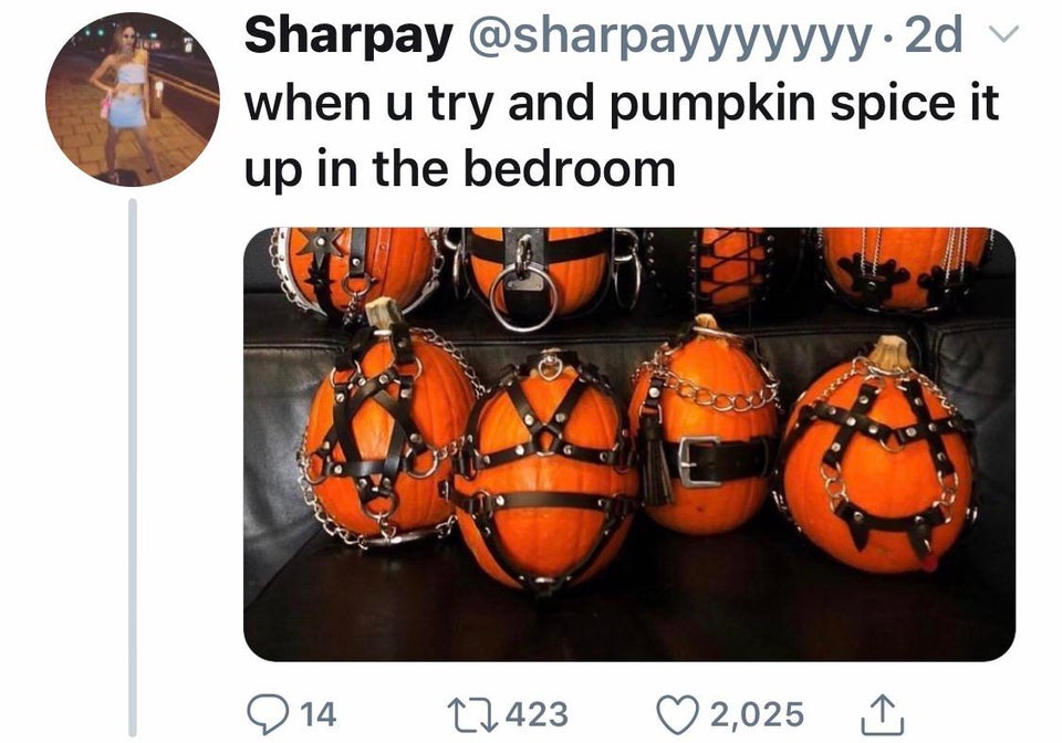 bdsm meme - Sharpay .2d when u try and pumpkin spice it up in the bedroom 0 14 27423 2,025