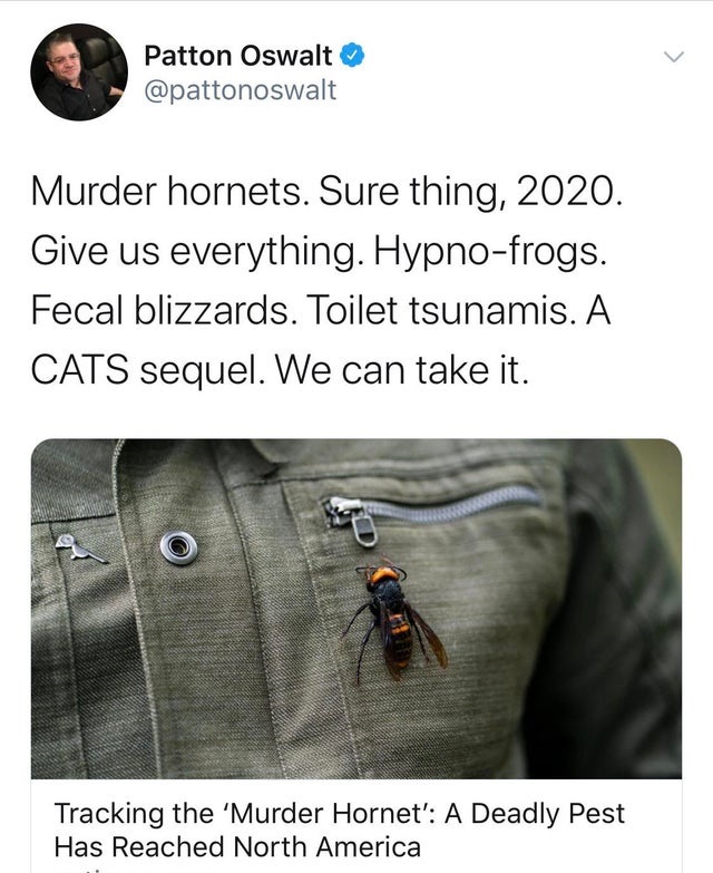material - Patton Oswalt Murder hornets. Sure thing, 2020. Give us everything. Hypnofrogs. Fecal blizzards. Toilet tsunamis. A Cats sequel. We can take it. Tracking the Murder Hornet' A Deadly Pest Has Reached North America