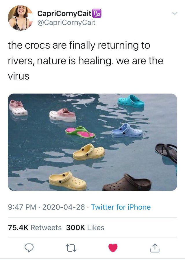 croc memes - CapricornyCait no the crocs are finally returning to rivers, nature is healing. we are the virus . Twitter for iPhone