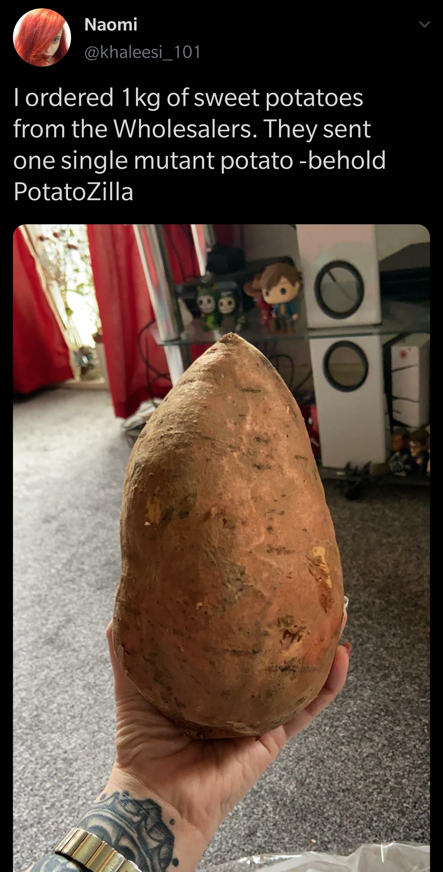 photo caption - Naomi Tordered 1kg of sweet potatoes from the Wholesalers. They sent one single mutant potatobehold PotatoZilla Oo