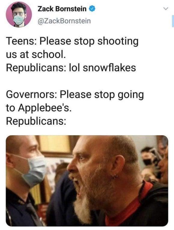 Michigan House of Representatives - Zack Bornstein Teens Please stop shooting us at school. Republicans lol snowflakes Governors Please stop going to Applebee's. Republicans