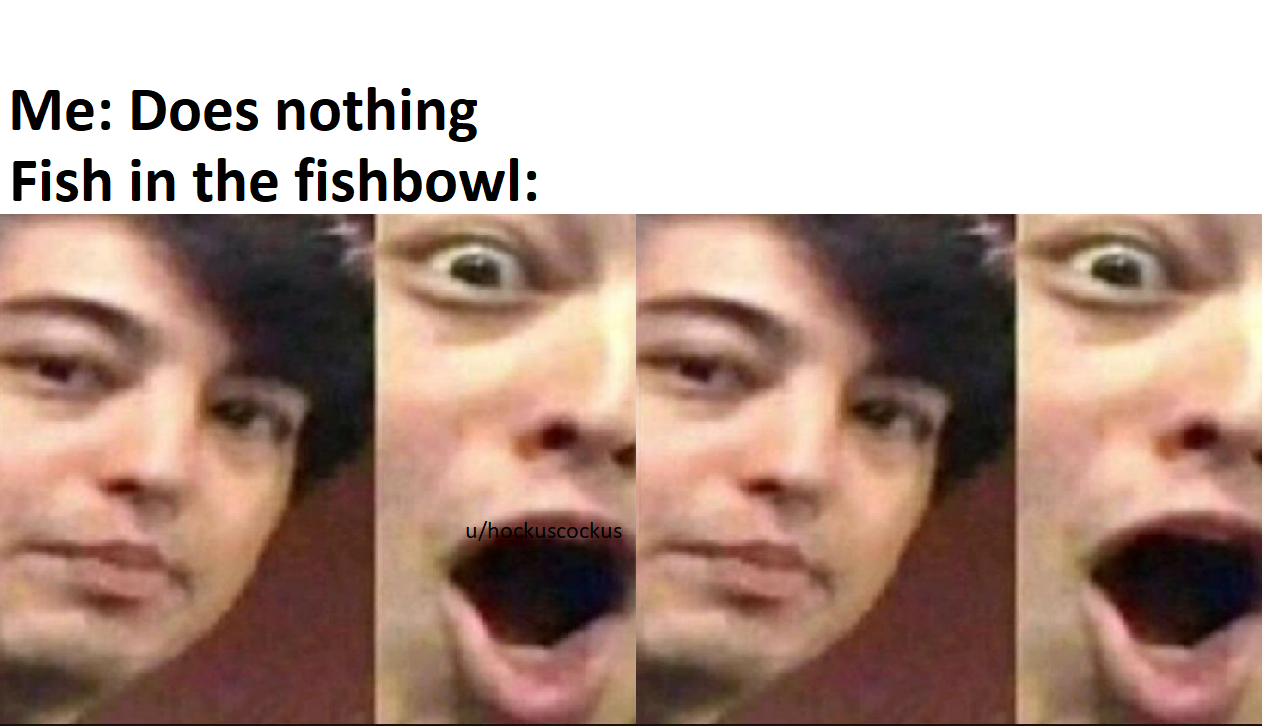 facial expression - Me Does nothing Fish in the fishbowl uhockuscockus