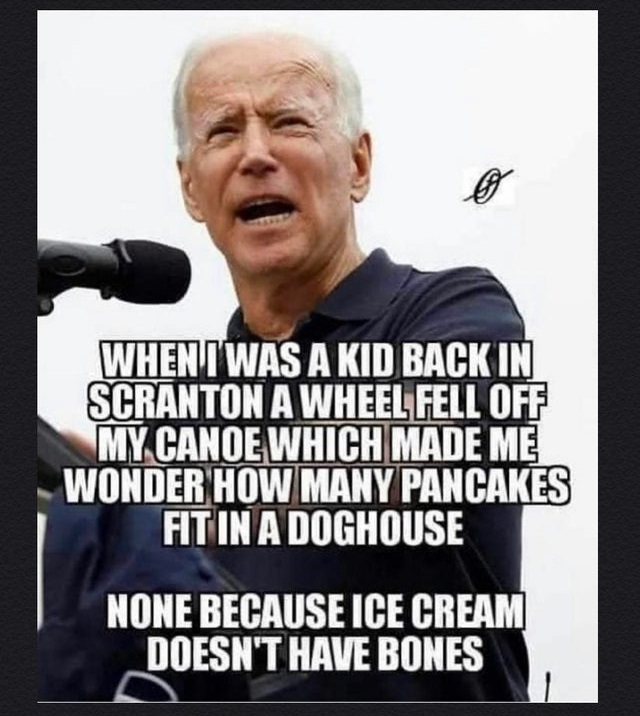 tyagi ji - Whent Was A Kid Back In Scranton A Wheel Fell Off My Canoe Which Made Me Wonder How Many Pancakes Fit In A Doghouse None Because Ice Cream Doesn'T Have Bones