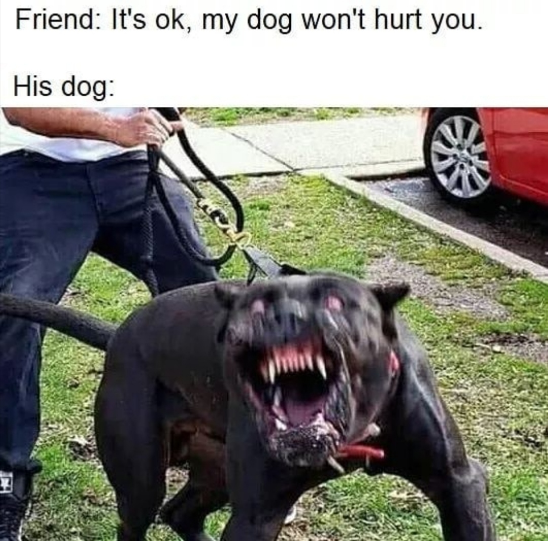 Internet meme - Friend It's ok, my dog won't hurt you. His dog