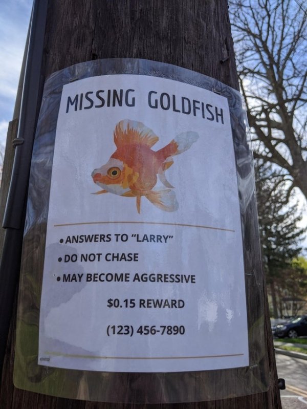 tree - Missing Goldfish . Answers To "Larry" .Do Not Chase May Become Aggressive $0.15 Reward 123 4567890