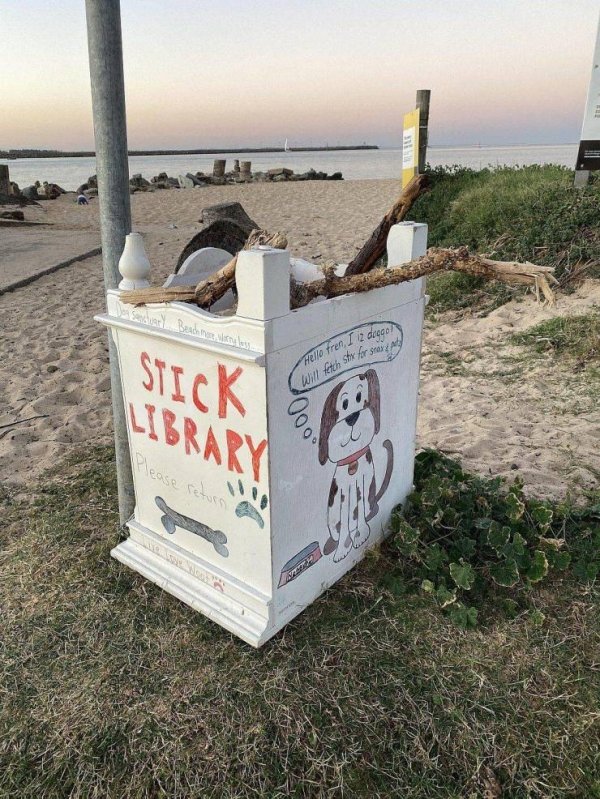 stick library for dogs to share at a park beach