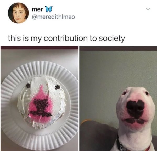 cake that looks like a dog - this is my contribution to society