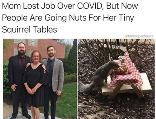 Mom Lost Job Over Covid, But Now People Are Going Nuts For Her Tiny Squirrel Tables