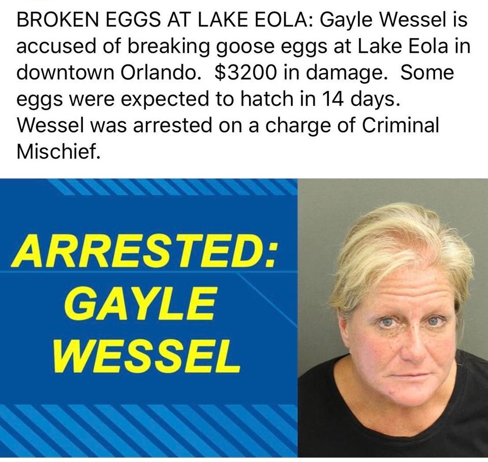 human behavior - Broken Eggs At Lake Eola Gayle Wessel is accused of breaking goose eggs at Lake Eola in downtown Orlando. $3200 in damage. Some eggs were expected to hatch in 14 days. Wessel was arrested on a charge of Criminal Mischief. Arrested Gayle W