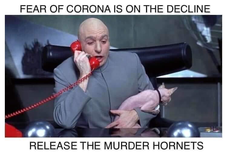dr evil on phone - Fear Of Corona Is On The Decline Release The Murder Hornets