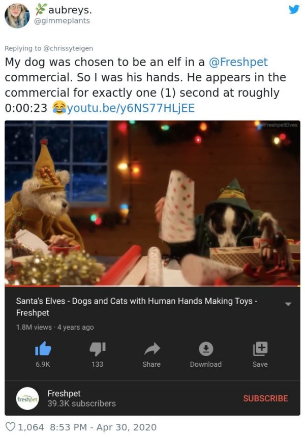 video - & aubreys. My dog was chosen to be an elf in a commercial. So I was his hands. He appears in the commercial for exactly one 1 second at roughly 23 youtu.bey6NS77 Hljee FreshpetElves Santa's Elves Dogs and Cats with Human Hands Making Toys Freshpet