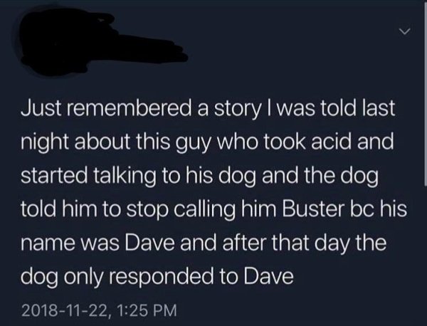 atmosphere - Just remembered a story I was told last night about this guy who took acid and started talking to his dog and the dog told him to stop calling him Buster bc his name was Dave and after that day the dog only responded to Dave ,