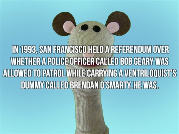 animal - In 1993, San Francisco Held A Referendum Over Whether A Police Officer Called Bob Geary Was Allowed To Patrol While Carrying A Ventriloquist'S Dummy Called Brendan O'Smarty. He Was.