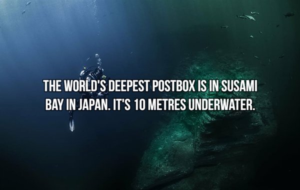 bistro24 - The World'S Deepest Postbox Is In Susami Bay In Japan. It'S 10 Metres Underwater.