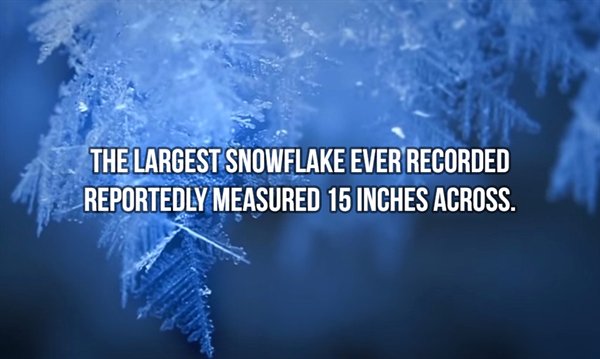 freezing - The Largest Snowflake Ever Recorded Reportedly Measured 15 Inches Across.