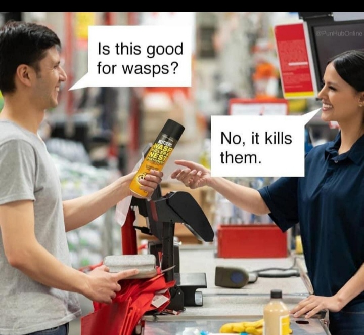 good for wasps meme - Is this good for wasps ? No, it kills them.
