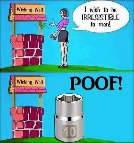 funny memes and pics - wishing well meme - Wishing Well I wish to be Irresistible to men! Wishing Well Poof! 10