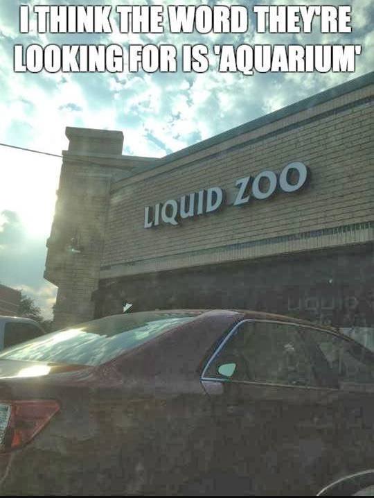 liquid zoo - I Think The Word They'Re Looking For Is Aquarium Liquid Zoo